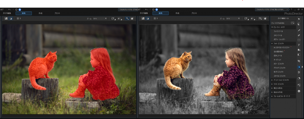 PhotoDirector 13