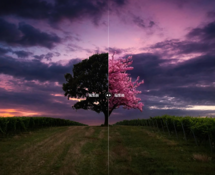 最新の生成AIテクノロジーが搭載された写真編集ソフト「Luminar Neo」の最新版がリリース