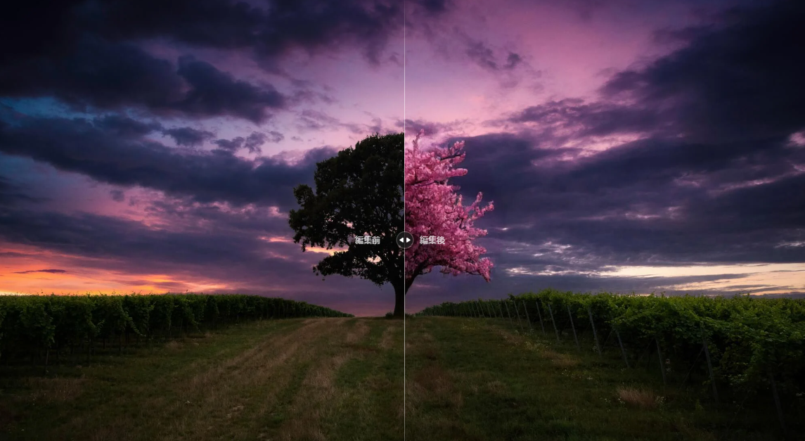 最新の生成AIテクノロジーが搭載された写真編集ソフト「Luminar Neo」の最新版がリリース