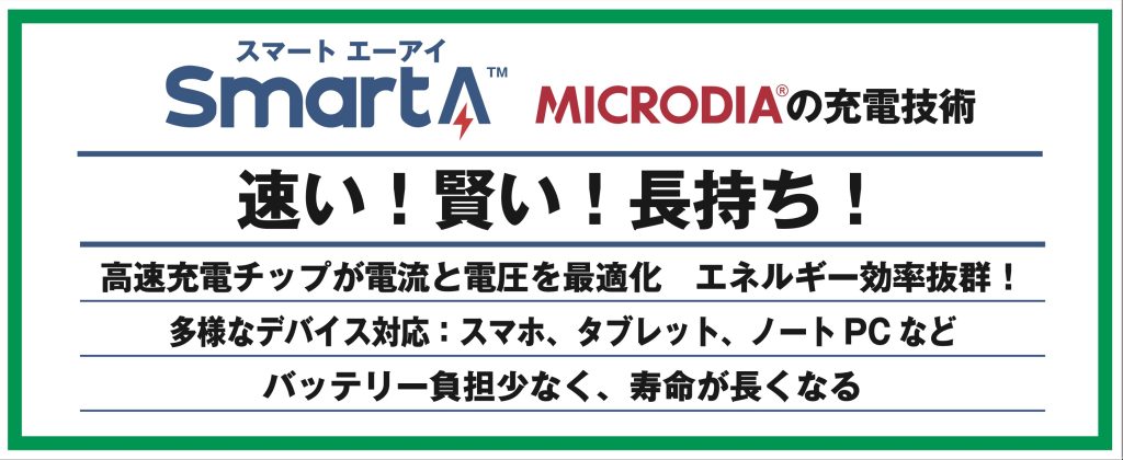 MICRODIA 1WorldAdapter